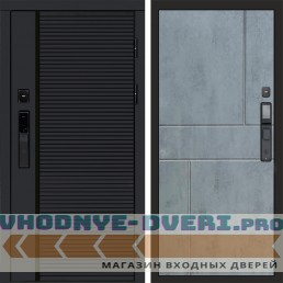 Входная дверь  Smart (Смарт) Black Line Горизонт бетон темный